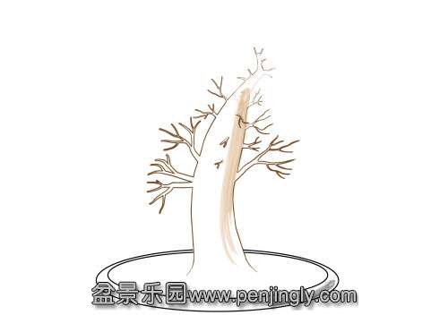 ATDeciduousBonsaiBranches_html_76750b04.jpg