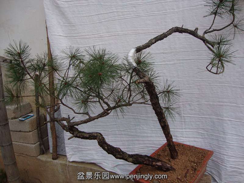DSC01891_.jpg