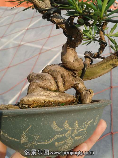 2013-12-30 13.35.44.jpg