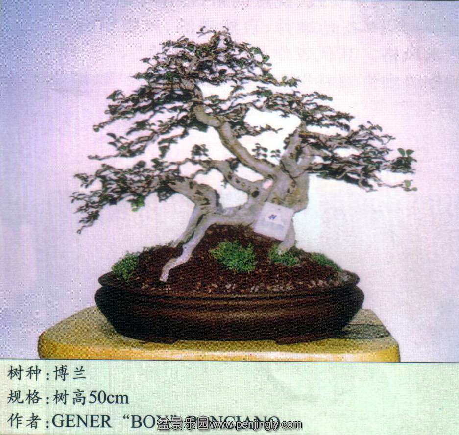 7̫չ-.jpg
