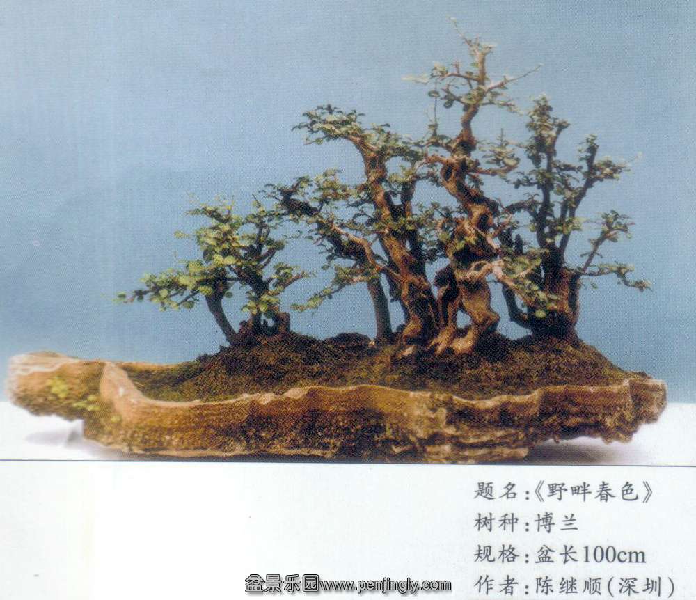 ¼˳-.jpg
