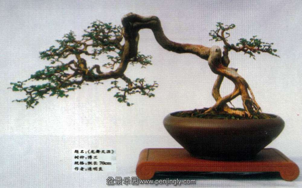 辰-.jpg