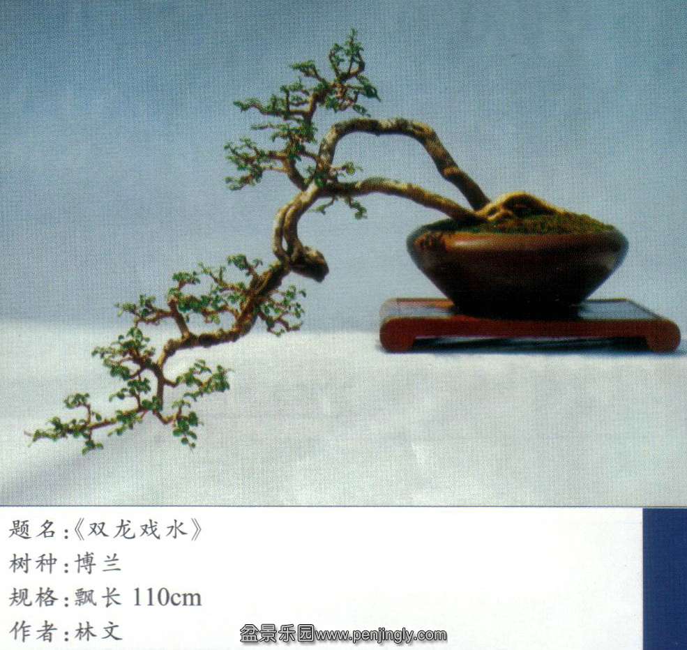 辰--.jpg