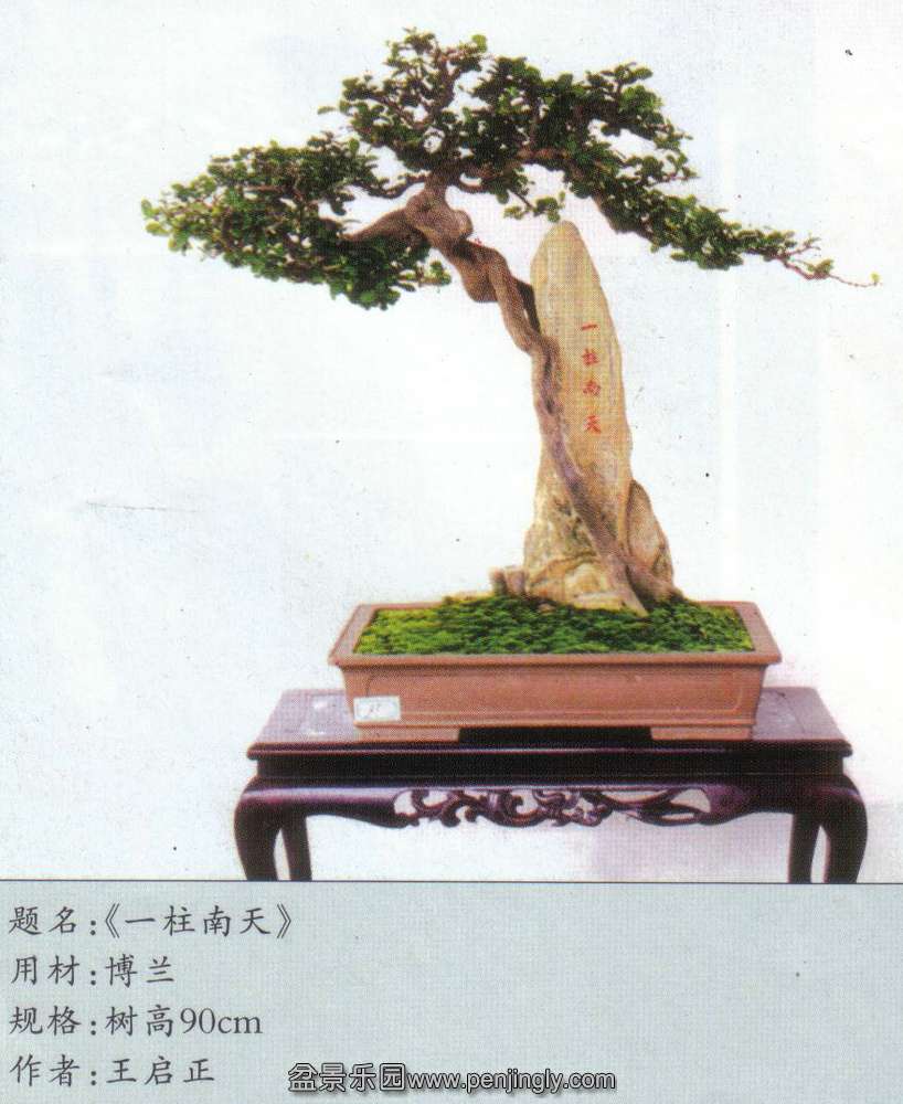 辰--.jpg