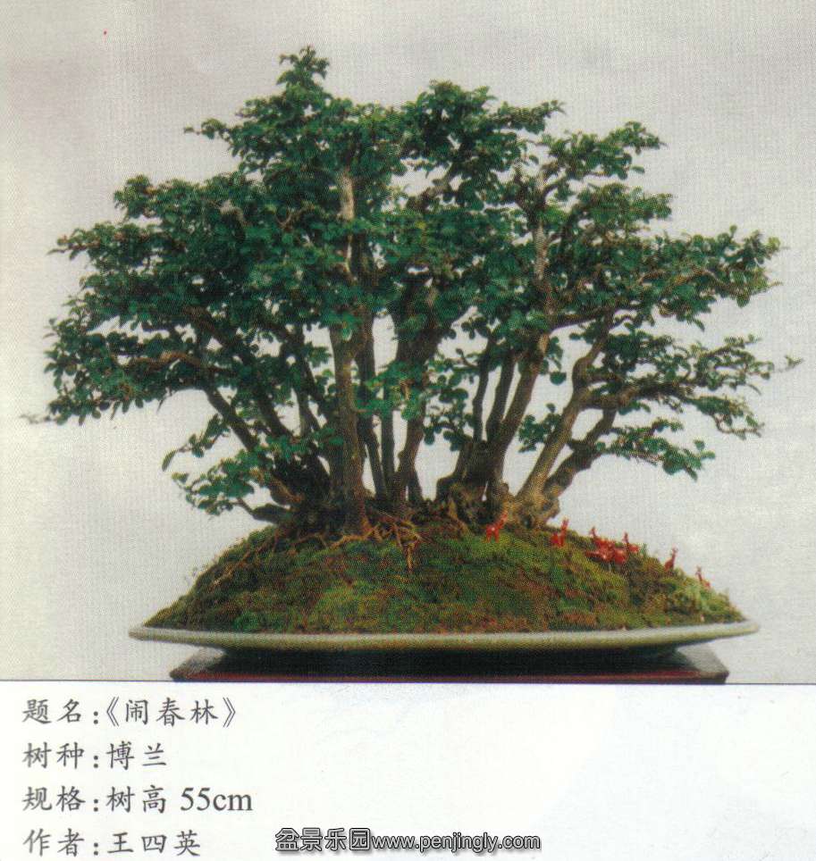 辰-Ӣ-.jpg