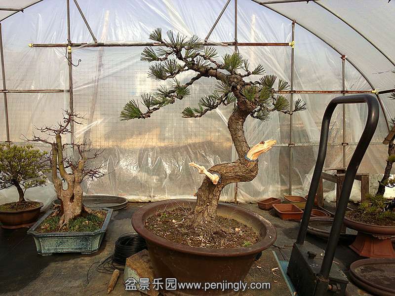 20131231647_.jpg