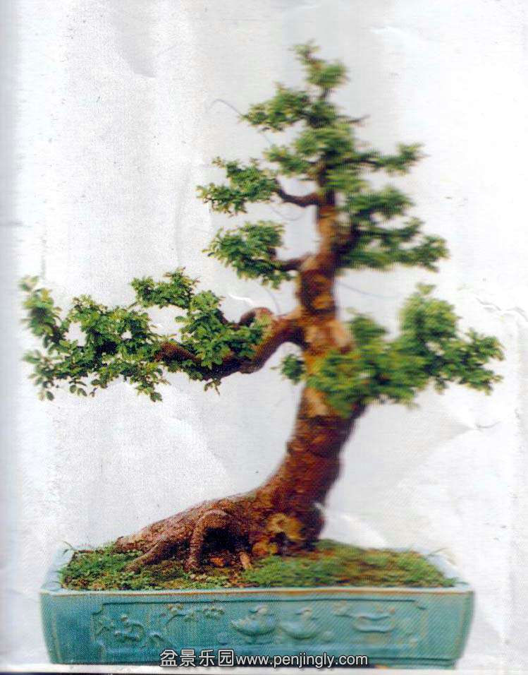 ɭ -2.jpg