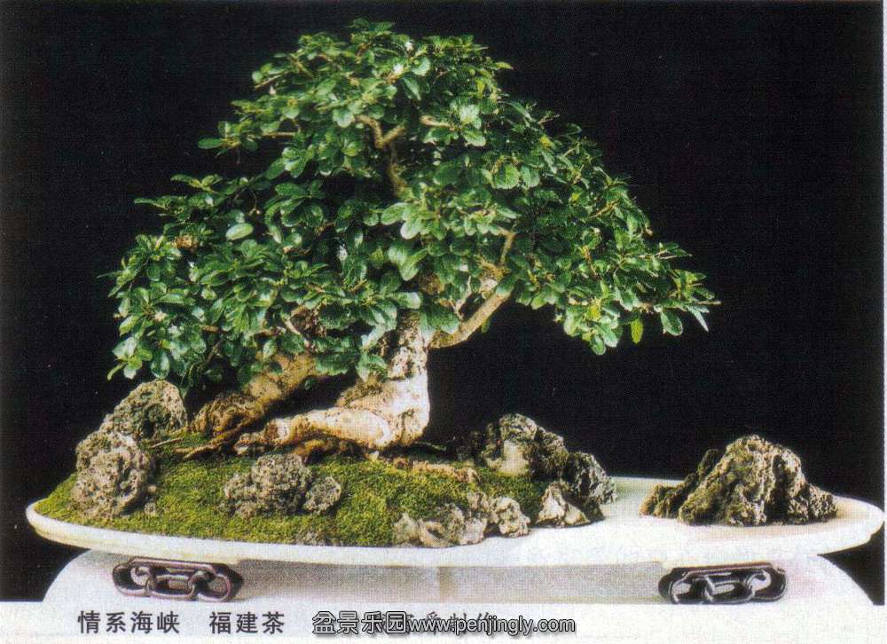 ˴-.jpg