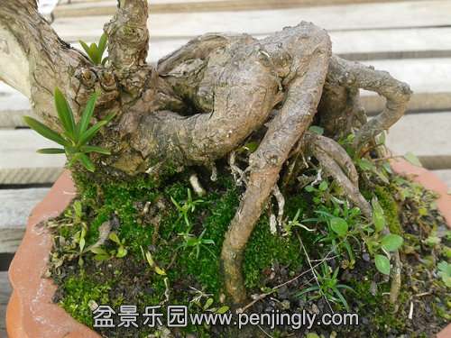 2014-01-01 13.59.53.jpg