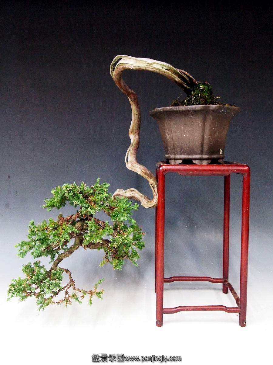 1 (10).jpg