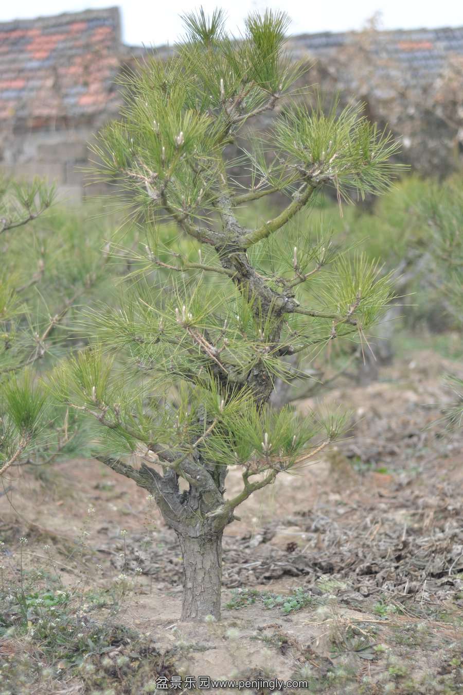 13-12-06СƷ 044.jpg