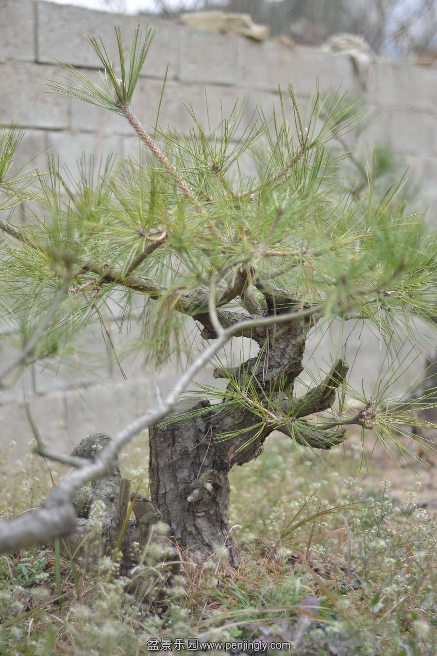 13-12-06СƷ 048.jpg