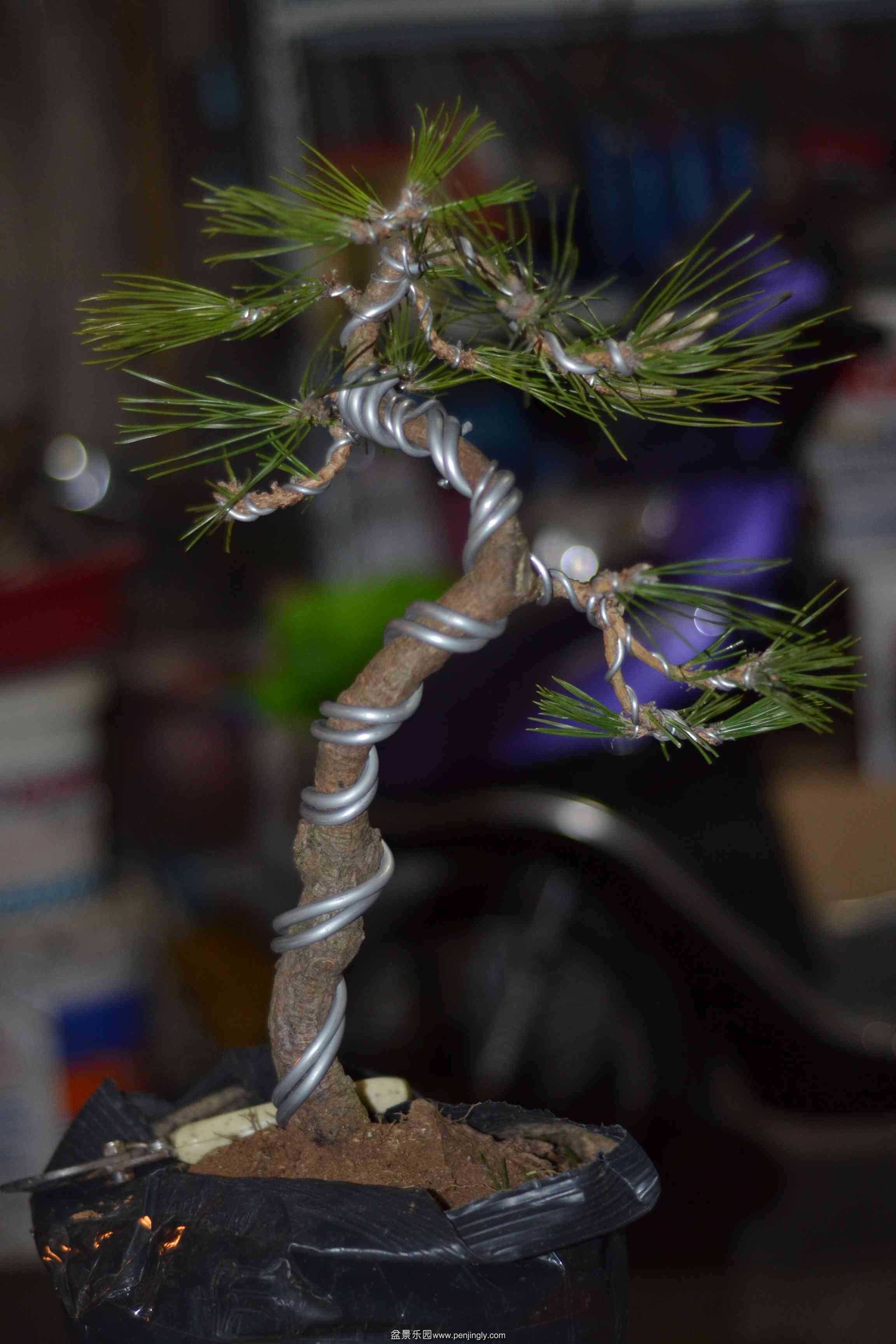 2014-01-02 008.jpg