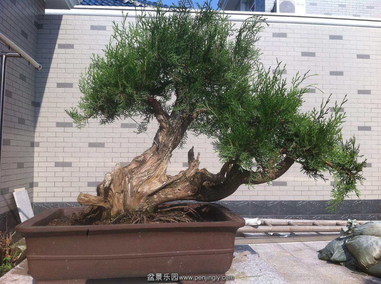 20120706ز 003.jpg