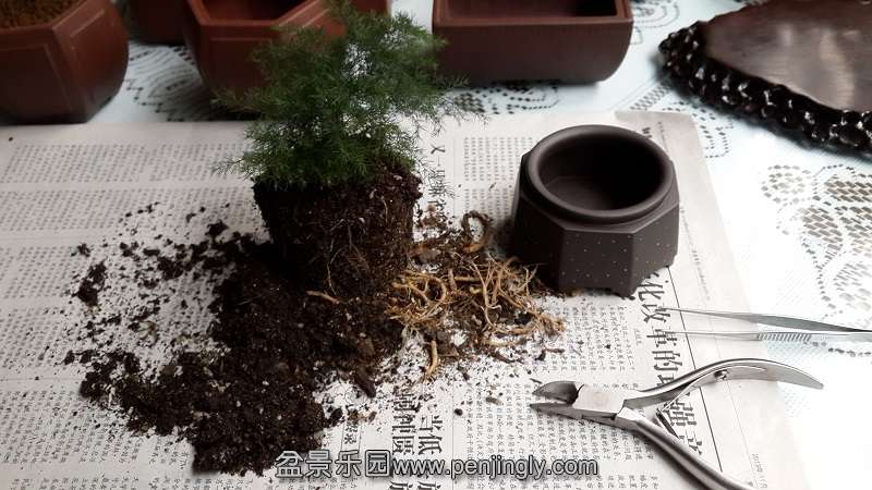 20131208_075209.jpg
