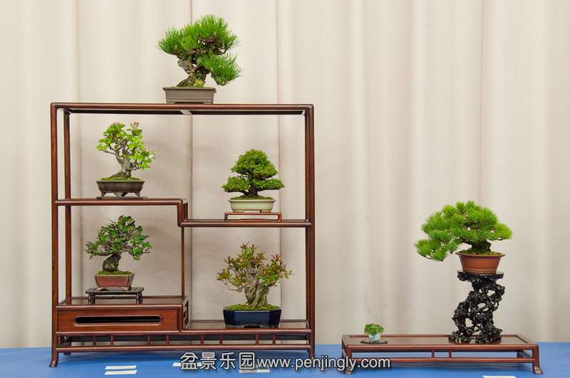 20130310-32-baba-L.jpg