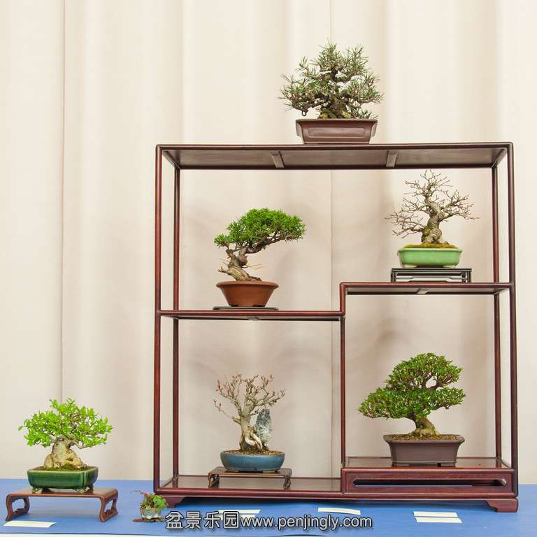 20130310-36-baba-XL.jpg