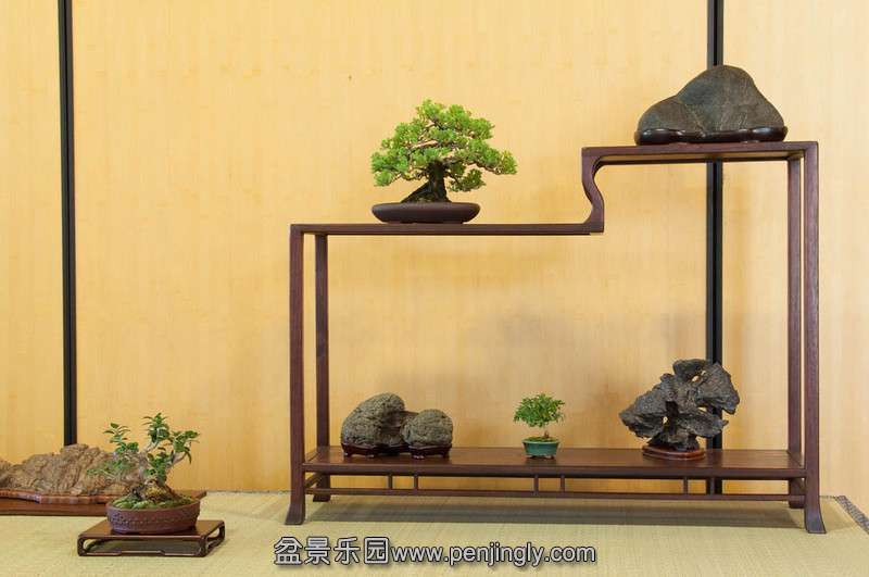 20130928-49-midori-L.jpg
