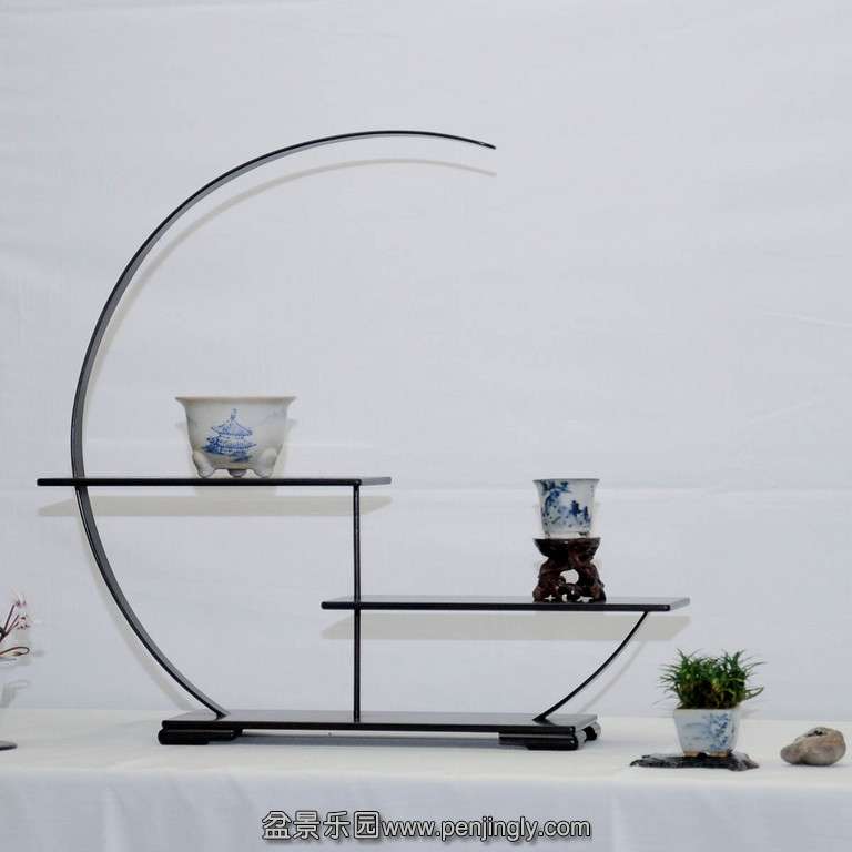 Shohin-pot-display-5-XL.jpg