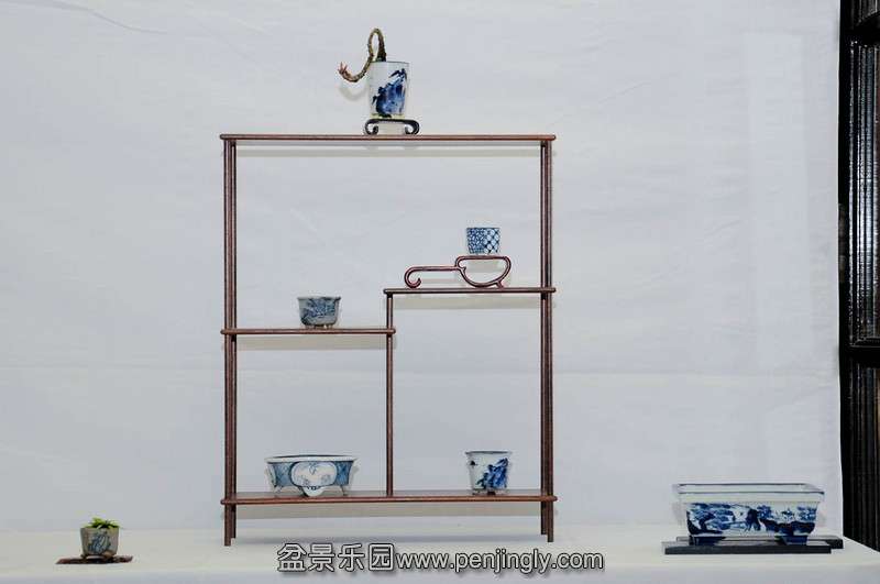 Shohin-pot-display-6-L.jpg