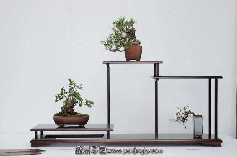 Shohin-seminar-7-L.jpg
