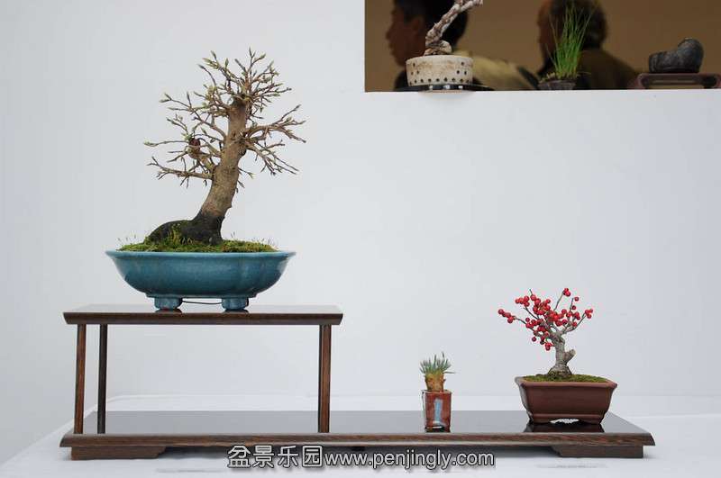Shohin-seminar-9-L.jpg