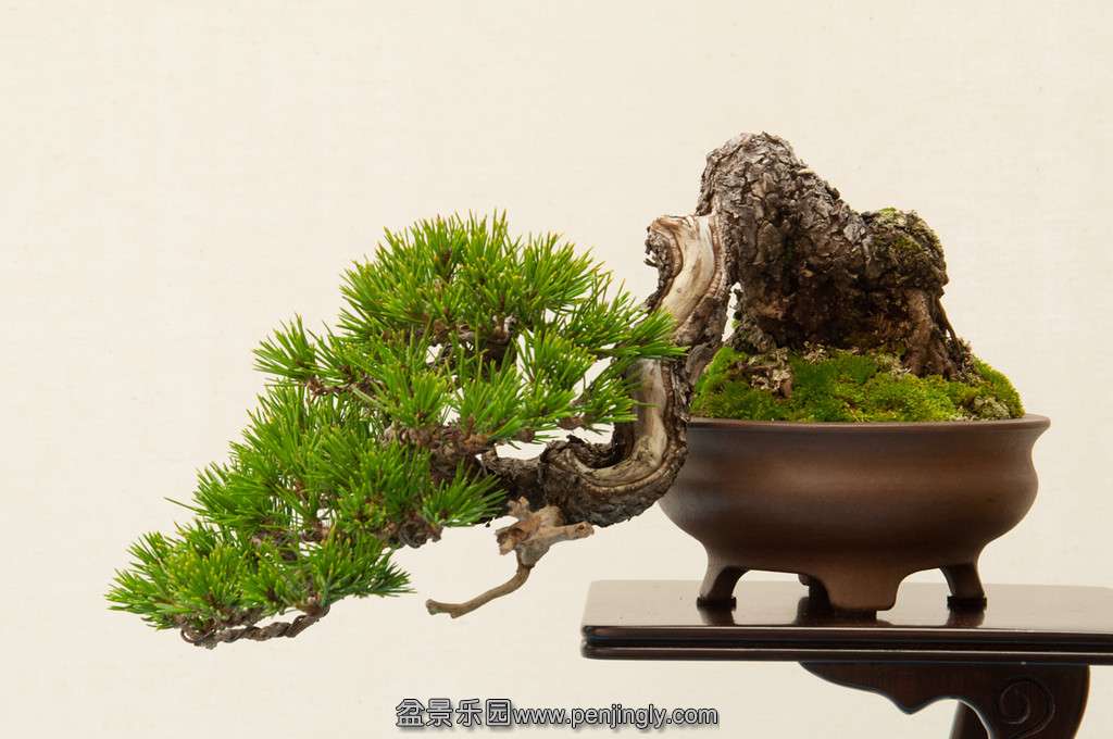 20130120-113-bib-exhibit-XL.jpg