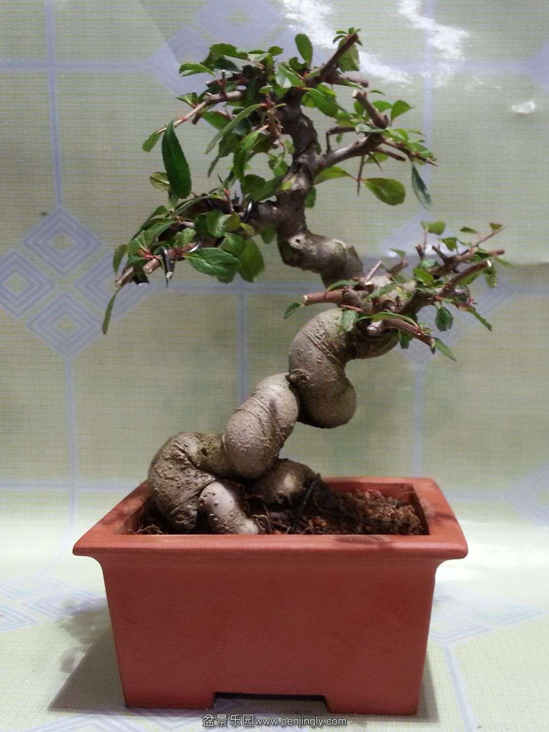 20140101_160555.jpg