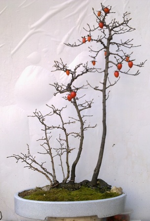 201312311874.jpg