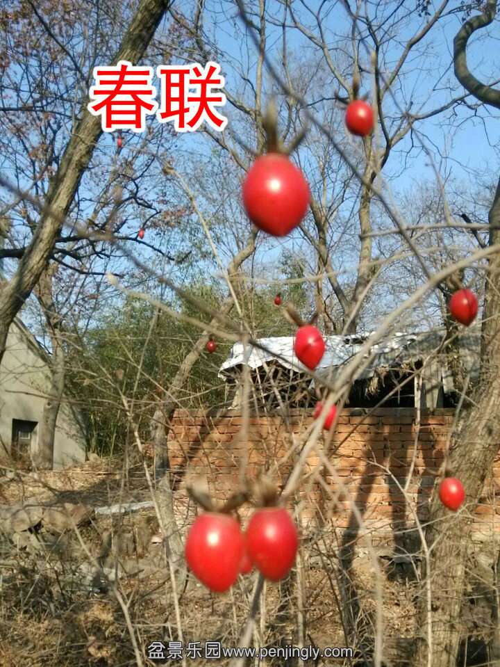 QQͼƬ20131231191404_.jpg