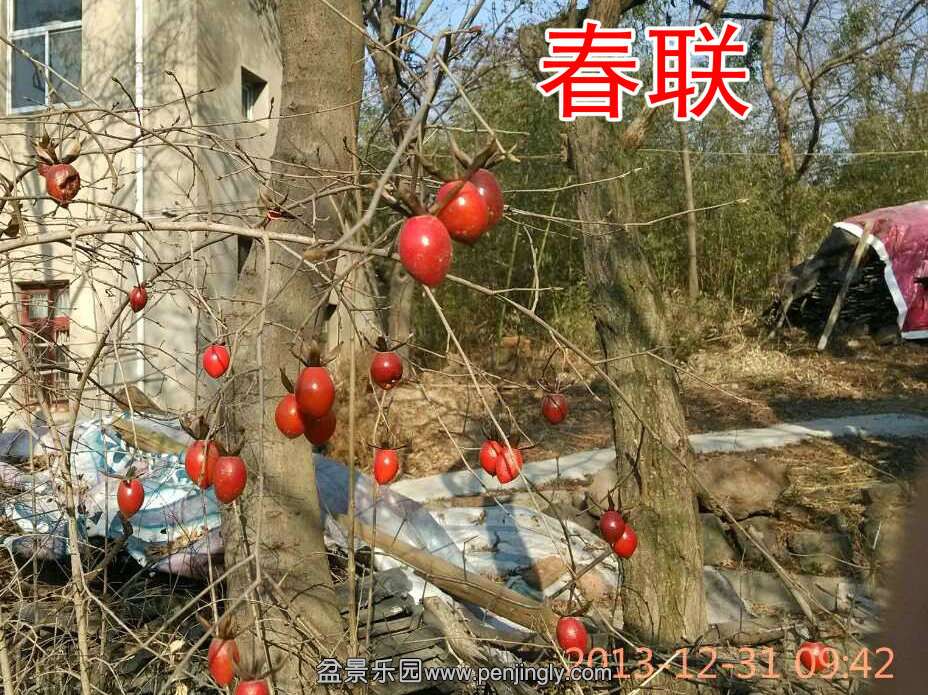 QQͼƬ20131231191355_.jpg