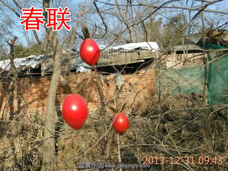 QQͼƬ20131231191359_.jpg
