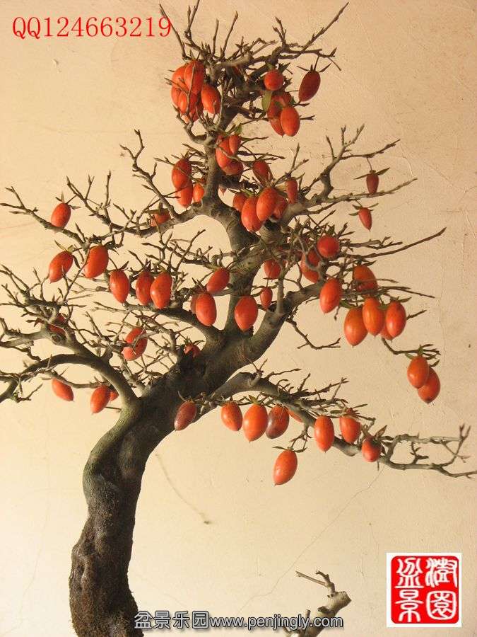 IMG_0355_.jpg