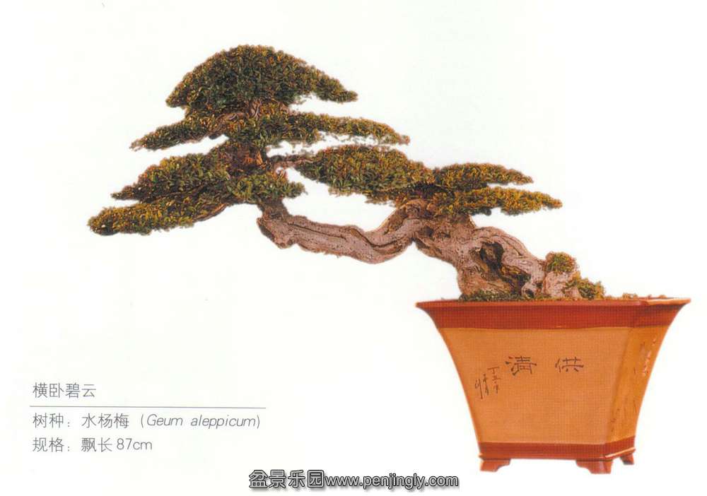 Աơˮ÷.jpg