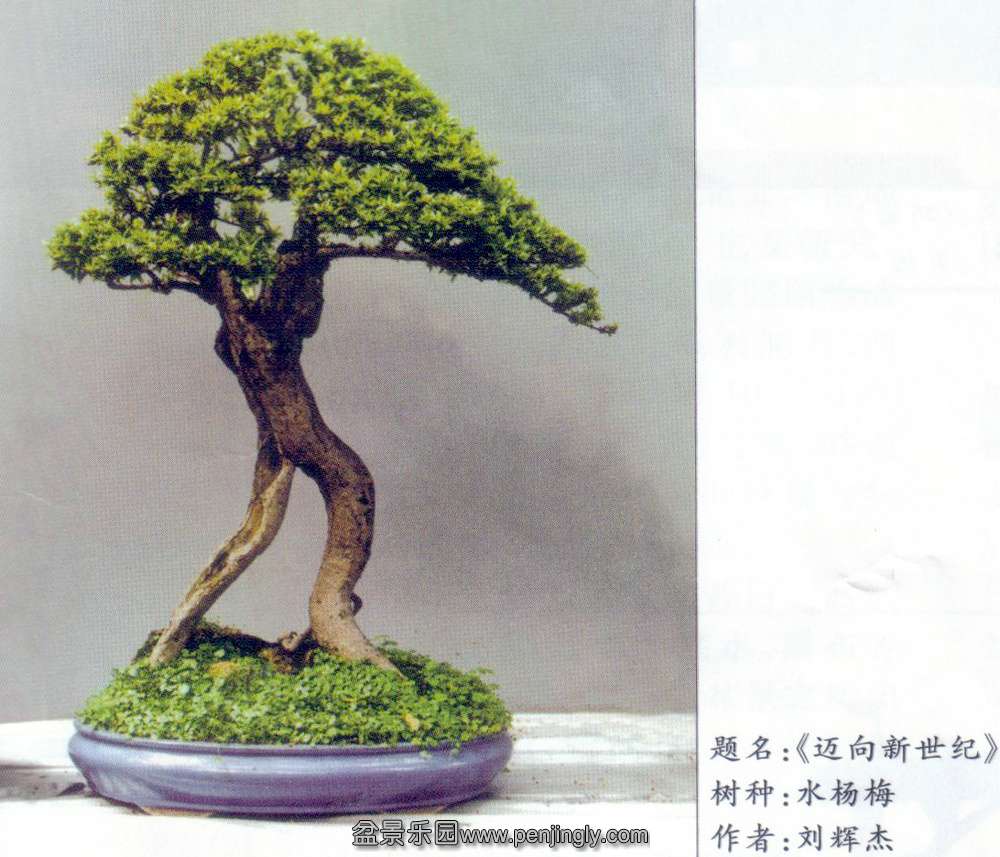 辰-Խ-ˮ÷.jpg