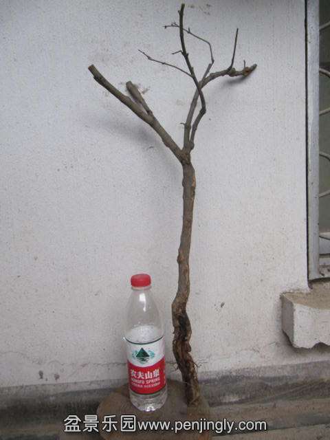 ʯ.JPG