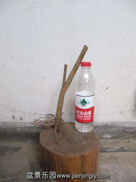 ʯ˺.JPG