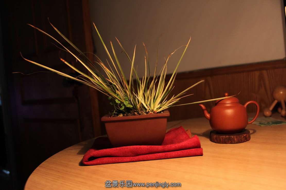 IMG_5548.JPG