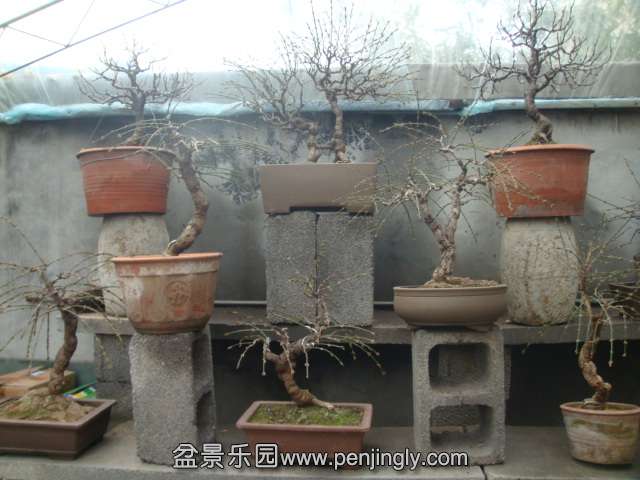 DSC02639.JPG