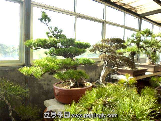 ع P1030645.JPG