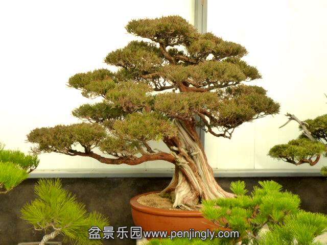 ع P1030649.JPG