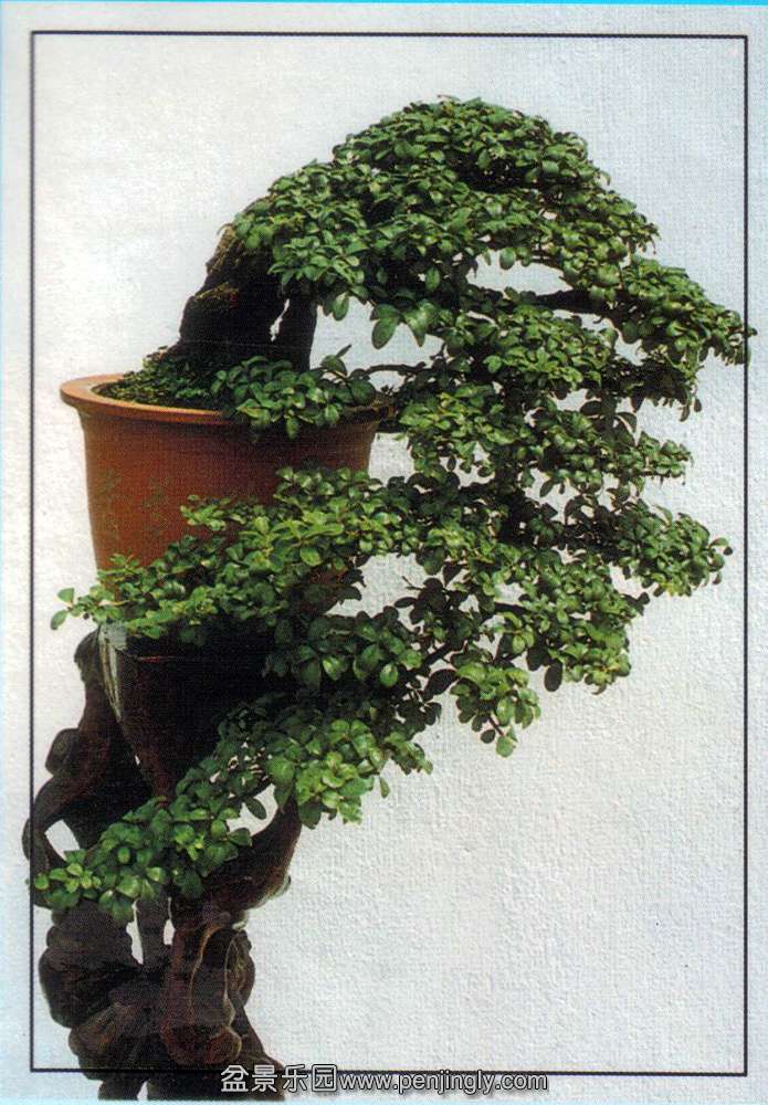 ի-ˮ1.jpg