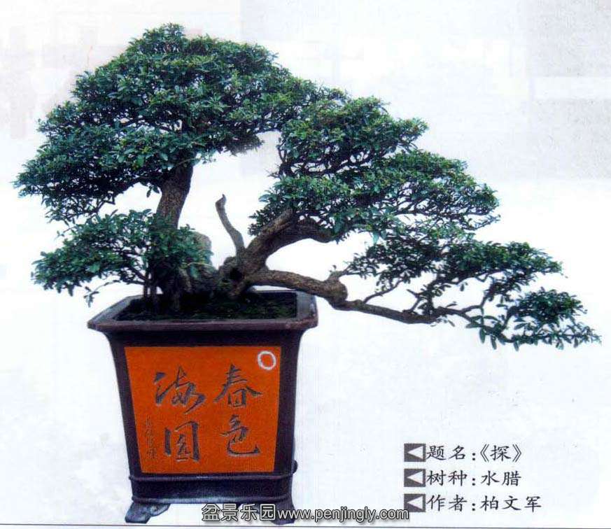 ľ-ˮľ09-12  3.jpg