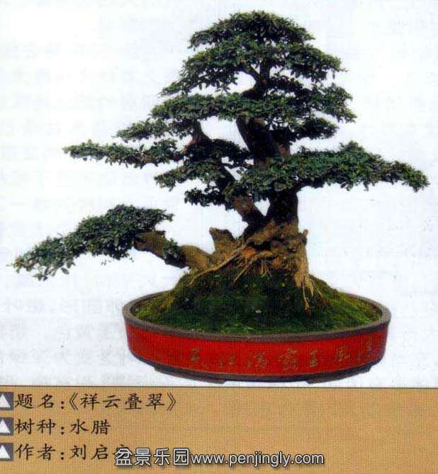 -ˮľ09-12 .jpg