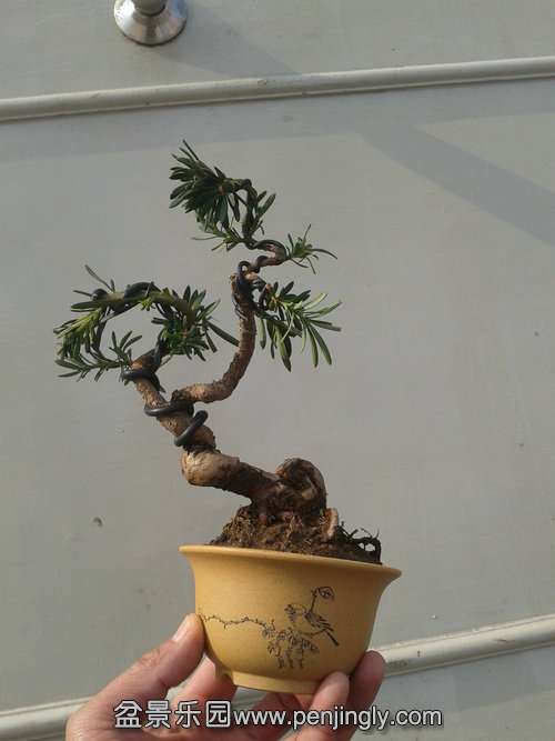 2014-01-09 13.15.18.jpg