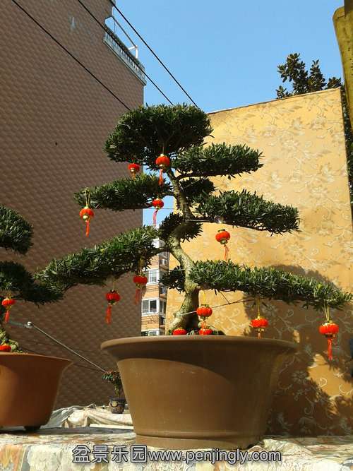 2013-02-09 13.52.52.jpg