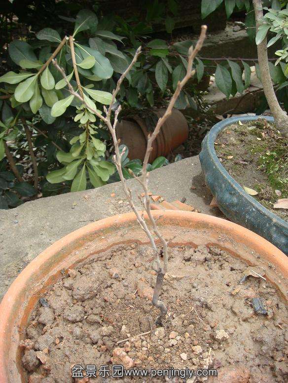 DSC06473.JPG