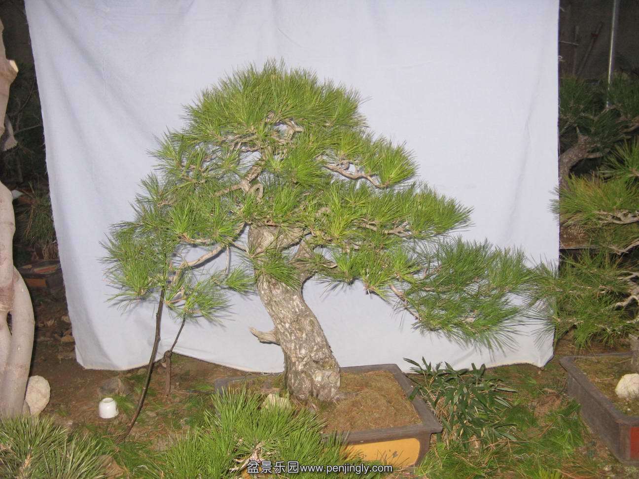 Ƭ 005.jpg
