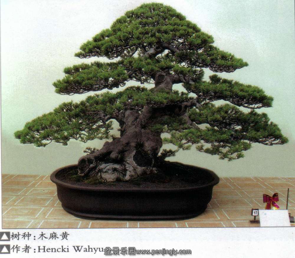 9̫չ-ľ3.jpg