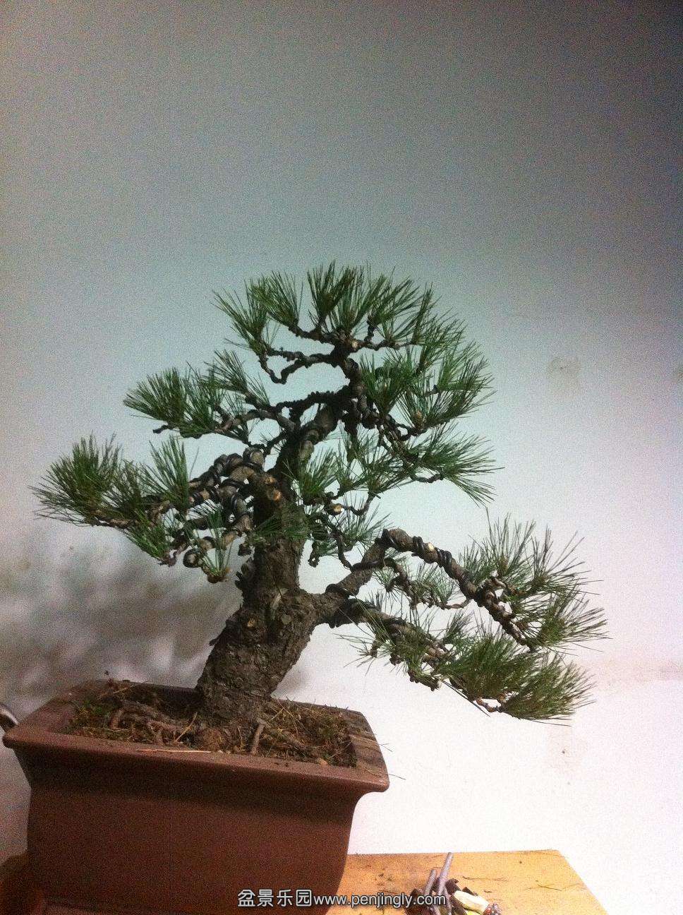 QQͼƬ20140112192402.jpg